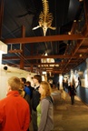 11_tag_44.jpg